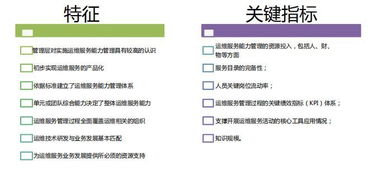 全面剖析ITSS信息技术服务标准 提升技术服务质量的关键指南